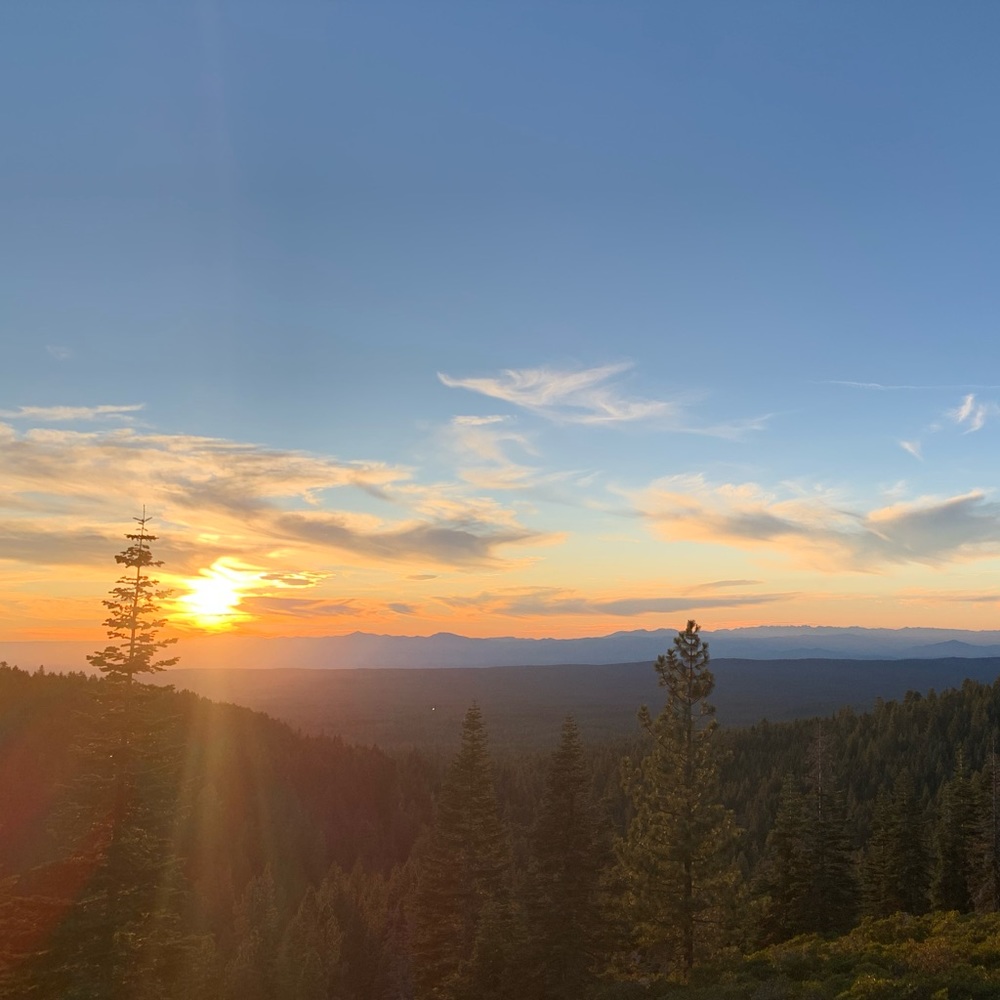 Meet your Posher, Dan